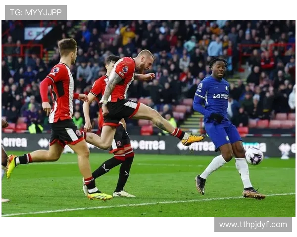 欧冠赛事概述与足球文化